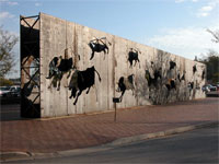 Bull Wall
