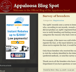 Appaloosa Blog Spot