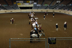 Show Ring