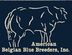 Belgian Blue Breeders