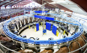 Delaval Robot