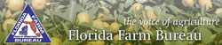 FFB President's Blog
