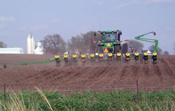 Spring Planting