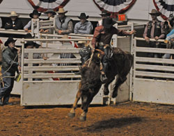Ft. Worth Stock Show Rodeo