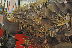 Dixie Deer Racks
