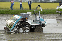 Automatic Rice Planting