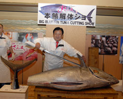 Big Blue Fin Tuna Cutting Show