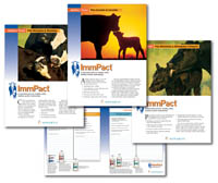 ImmPact Brochure Image