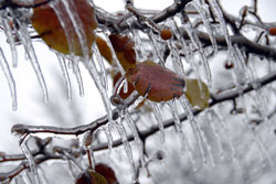 Midwest Ice Storm