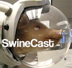 Swinecast