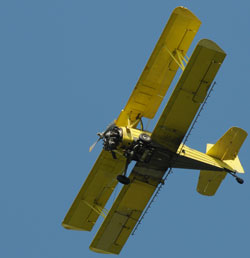 Yellow Crop Duster