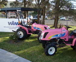 New Holland Pink Boomer