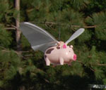 World Pork Expo 2008 flying pig