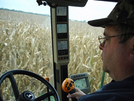 corn harvest