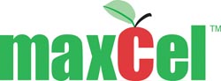 Valent MaxCel Logo