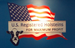 Holstein Association USA