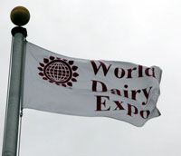 Expo Flag