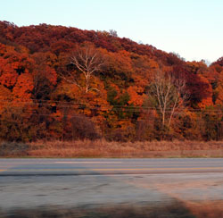 Fall Colors