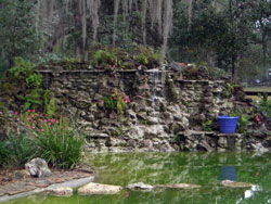 A Florida Pond