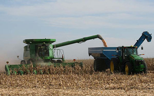 Combining Corn Cobs | Energy